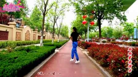 金灿灿广场舞《赴汤蹈火》下载