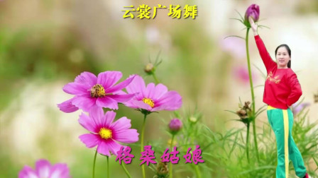 云裳广场舞《格桑姑娘》梅子老师原创民族健身操 个人版下载