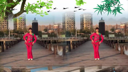 云裳广场舞《独爱一枝花》沚水老师原创欢快时尚流行舞下载
