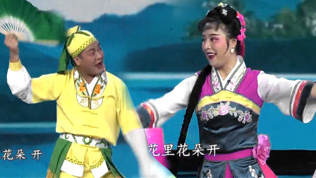 赣南采茶戏《睄妹子》片断 表演 崔英兰 黎平平 戏曲高清视频mp4免费下载下载