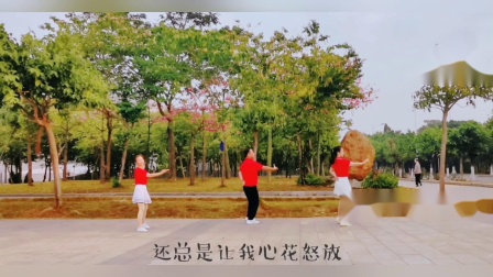 云裳广场舞《野花香》教学高清视频免费下载下载