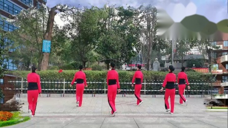 吉美广场舞《我在2020年等你》（6人）教学视频