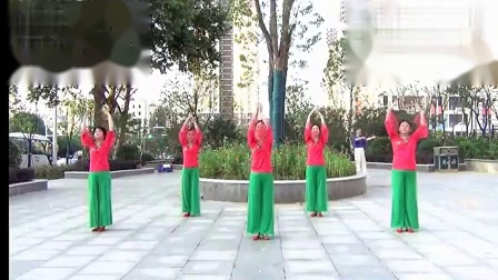 格格广场舞《水乡温柔》 简单好学教学高清视频免费下载下载