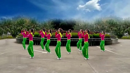 格格广场舞 《小鸡小鸡》背面 教学高清视频免费下载下载
