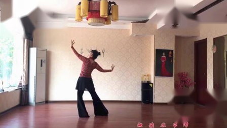 美久广场舞 《酒醉的蝴蝶》 背面附分解 教学高清视频免费下载下载