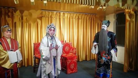 汉剧《宇宙锋》艺术家 黄佩玲主演 戏曲高清