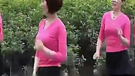 周思萍广场舞 《游牧情歌》教学视频基础步慢动作分解法下载