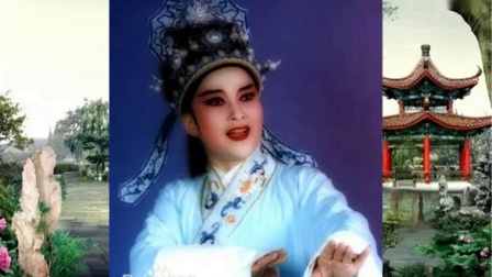 越剧《倪凤扇茶》周雅琴 王少楼 张小巧演唱