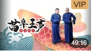 《恋爱历险记》苗阜 王声精品相声第11集  mp4免费下载下载