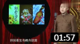 《春季的饮食》方清平单口相声 在冰激凌店点刀削面下载
