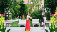 云裳广场舞《月亮的味道》唯美古风古典舞 高清视频mp4免费下载下载