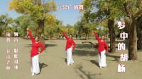 云裳广场舞《梦中的胡杨》歌醉舞美好听又好看附分解下载
