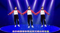 玫香广场舞《爱恨一笔勾销》32步附教学视频mp4免费下载下载