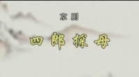 京剧视频免费下载mp4下载《四郎探母》1 主演  杨少彭 张馨月 白金 王怡下载