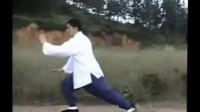 傅清泉传统杨式太极拳85式（带口令）全套演练视