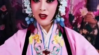 晋剧下载 免费 mp4《打金枝》胡燕演唱下载