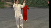 42式太极拳全套分解正反示范教学视频mp4免