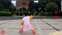 陈氏太极拳精要十八式背向字幕视频mp4免费