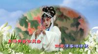淮剧下载mp4免费下载《白雪皑皑如戴孝》夏