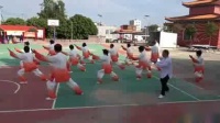 山鹰太极队新偏28式太极拳视频mp4免费下载