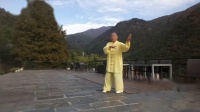 传统杨氏85式太极拳（安仁华）视频mp4免费下载