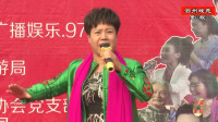 四平调《小包公》选段 辞皇王赴任离帝京 郭
