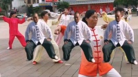 徐闻县河舟太极队晨练《八段锦》视频mp4免费下载下载