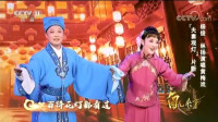 黄梅戏《夫妻观灯》片段 名家杨俊 林杨演唱