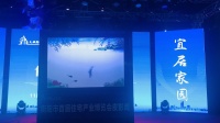 衡阳皮影戏 《小蝌蚪找妈妈》高清视频在线