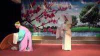 越剧《轻烟寒细雨濛濛》徐秀春 章彩琴演唱