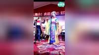 二人转《阴魂阵》《包公赔情》七岁红冯涛演唱视频mp4免费下载下载