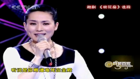 越剧《桃花扇追念》著名尹派传人 名家王君安演唱 经典感人好听下载
