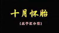 湖南花鼓戏《十月怀胎》主演 卜太云 徐春景等下载