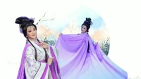 潮剧《绣虎》选段《一园秋色数声蝉》  王美
