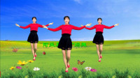 阿采广场舞教学《爱如蝴蝶飞》舞美动人适合健身下载