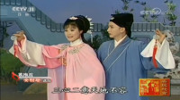 黄梅戏《女驸马》选段 花园会 潘文庆 吴美
