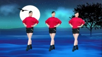 玫香广场舞《想你的夜晚》优美旋律32步好看易学下载