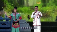 二人台 《打樱桃》演唱 王泽  任珂下载