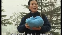 柳琴戏《情断桃花岛》下集 主演 姚秀云 姬光荣下载