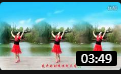 金灿灿广场舞《花开的时候你就来看我》教学视频大全高清mp4免费下载下载