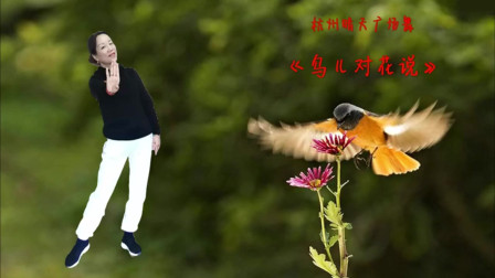 云裳广场舞《鸟儿对花说》高清教程视频大全下载下载