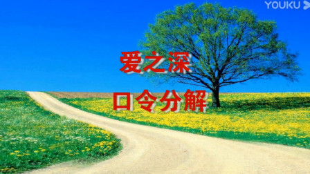 春英广场舞《爱之深》（正背面口令分解教学演示）视频教程慢动作下载