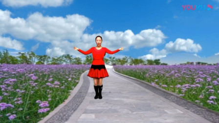 春英广场舞《野花香》（口令分解教学演示）教程初级舞步视频下载