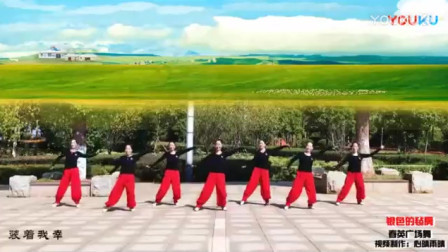 春英广场舞《银色的毡房》蒙族风格背面团队演示 教程初级舞步视频下载