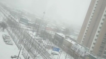 金灿灿广场舞《白雪飘飘》教程视频大全下载下载