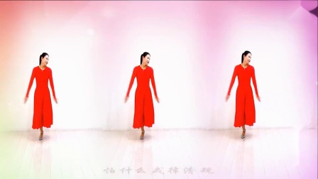 金灿灿广场舞《女儿情》广场舞教程初级舞步视频下载