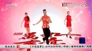 王广成广场舞《中国喜事》 教程初级舞步视频下载