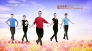 王广成广场舞《中华大花园》教程初级舞步视频下载