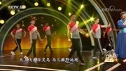 王广成广场舞《火苗》 教学视频基础步慢动作分解法下载