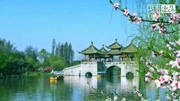 青青叶子广场舞《烟花三月下扬州》教学视频基础步慢动作分解法下载